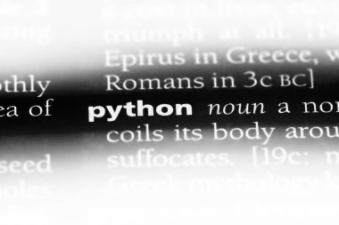 Python Word'de bir sözlük. Python kavramı.
