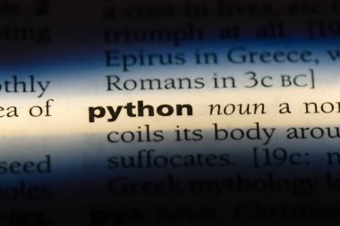 Python Word'de bir sözlük. Python kavramı.