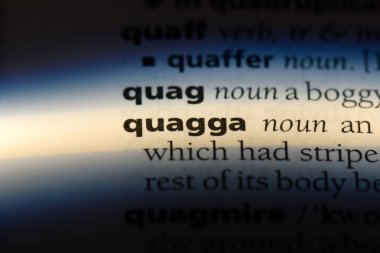 quagga Word'de bir sözlük. quagga kavramı.