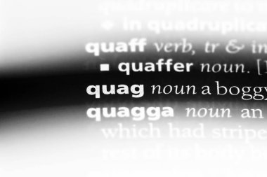 Quag sözcük sözlüğe. Quag kavramı.