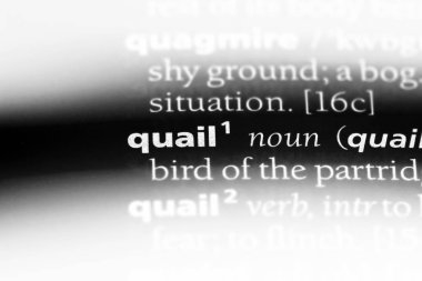 bıldırcın Word'de bir sözlük. bıldırcın kavramı.