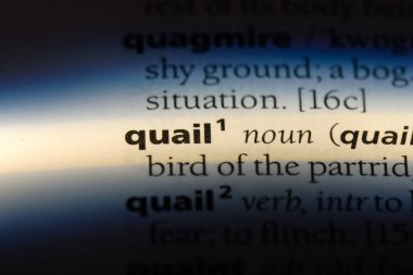 bıldırcın Word'de bir sözlük. bıldırcın kavramı.