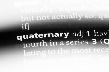 Kuvaterner tek kelimeyle bir sözlük. Kuvaterner kavramı.