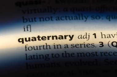 Kuvaterner tek kelimeyle bir sözlük. Kuvaterner kavramı.