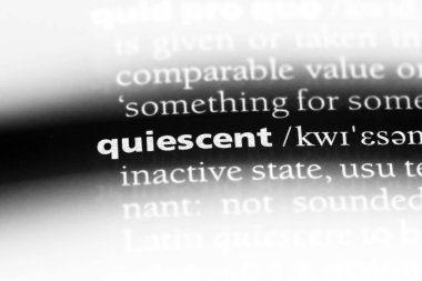 bir sözlüğü'ndeki deneniyor sözcüğü. durgun kavramı.