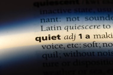 sessiz tek kelimeyle bir sözlük. sessiz kavramı.