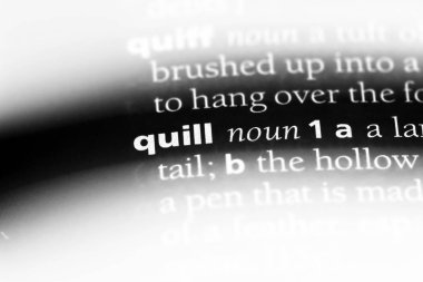Quill'in Word'de bir sözlük. Quill'in kavramı.