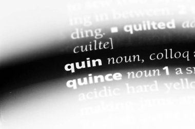 Quin Word'de bir sözlük. Quin kavramı.