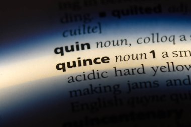 Ayva Word'de bir sözlük. Ayva kavramı.