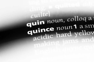 Ayva Word'de bir sözlük. Ayva kavramı.