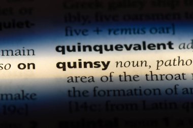 anjin Word'de bir sözlük. anjin kavramı.