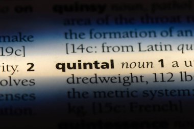 kental sözlük tek kelimeyle. kental kavramı.