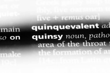 anjin Word'de bir sözlük. anjin kavramı.