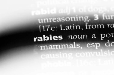 Kuduz Word'de bir sözlük. Kuduz kavramı.