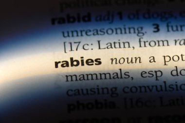 Kuduz Word'de bir sözlük. Kuduz kavramı.