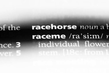 raceme sözcük sözlüğe. raceme kavramı.