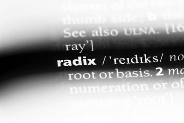 sayı tabanı Word'de bir sözlük. sayı tabanı kavramı.