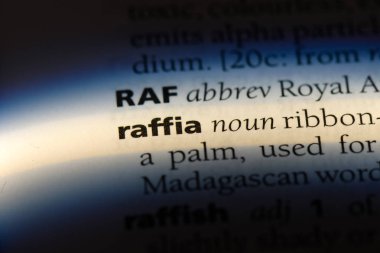 rafya Word'de bir sözlük. rafya kavramı.