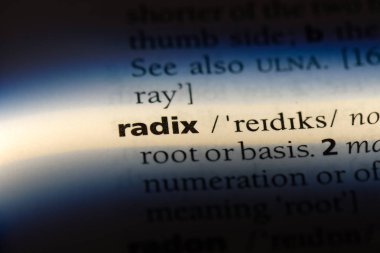 sayı tabanı Word'de bir sözlük. sayı tabanı kavramı.