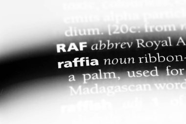 rafya Word'de bir sözlük. rafya kavramı.