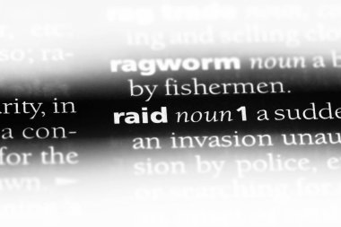 RAID Word'de bir sözlük. RAID kavramı.