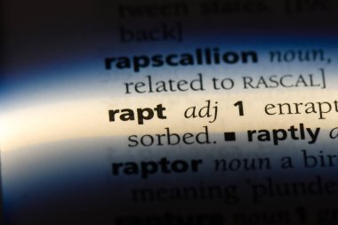 bir sözlüğü'ndeki mest sözcüğü. mest kavramı.