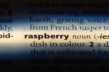 Ahududu tek kelimeyle bir sözlük. Ahududu kavramı.