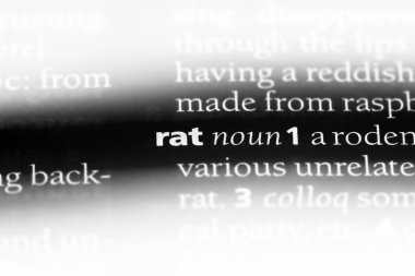 sıçan Word'de bir sözlük. sıçan kavramı.