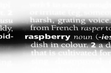 Ahududu tek kelimeyle bir sözlük. Ahududu kavramı.