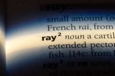 bir sözlüğü'ndeki sözcüğü ray. Ray kavramı.