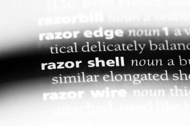 ustura kabuğu bir sözlük tek kelimeyle. ustura kabuğu kavramı.