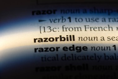 Razorbill sözcük sözlüğe. Razorbill kavramı.