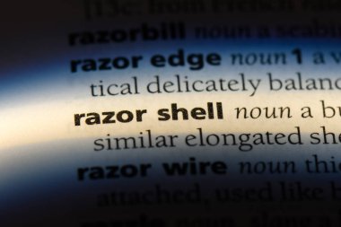 ustura kabuğu bir sözlük tek kelimeyle. ustura kabuğu kavramı.