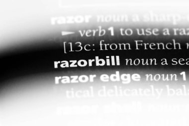Razorbill sözcük sözlüğe. Razorbill kavramı.