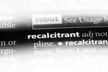 inatçı tek kelimeyle bir sözlük. inatçı kavramı.