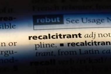 inatçı tek kelimeyle bir sözlük. inatçı kavramı.