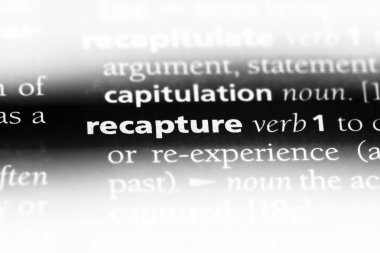 bir sözlüğü'ndeki sözcüğü yeniden ele geçirmek. kavramı yeniden ele geçirmek.