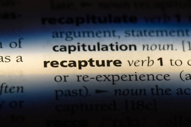 bir sözlüğü'ndeki sözcüğü yeniden ele geçirmek. kavramı yeniden ele geçirmek.