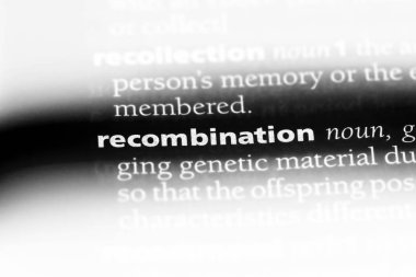 Rekombinasyon Word'de bir sözlük. Rekombinasyon kavramı.