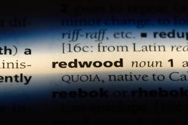 Redwood Word'de bir sözlük. Redwood kavramı.