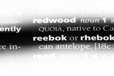 Reebok Word'de bir sözlük. Reebok kavramı.