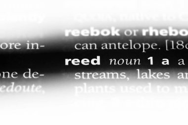 Reed Word'de bir sözlük. Reed kavramı.