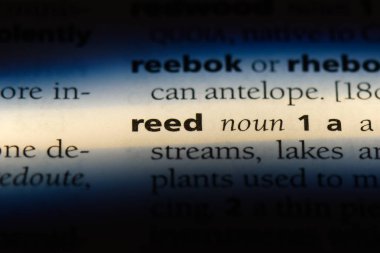 Reed Word'de bir sözlük. Reed kavramı.