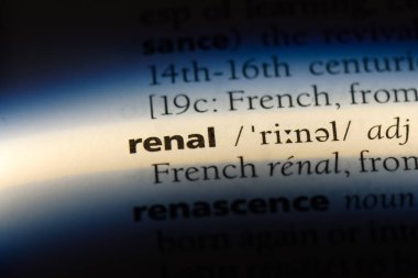 böbrek tek kelimeyle bir sözlük. böbrek kavramı.