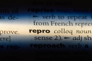 Repro Word'de bir sözlük. Repro kavramı.