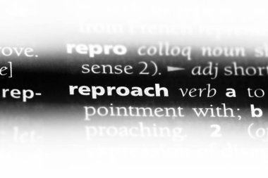 bir sözlüğü'ndeki sözcüğü sitem. Sitem kavramı.