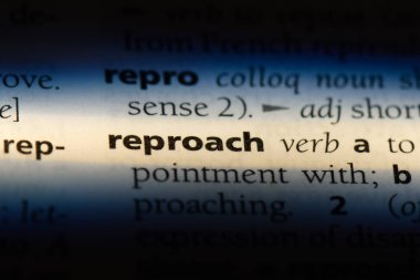 bir sözlüğü'ndeki sözcüğü sitem. Sitem kavramı.