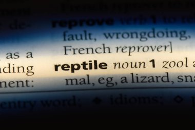 sürüngen Word'de bir sözlük. sürüngen kavramı.