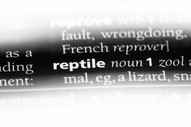 sürüngen Word'de bir sözlük. sürüngen kavramı.