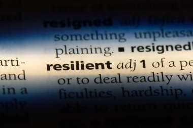 esnek tek kelimeyle bir sözlük. esnek kavramı.